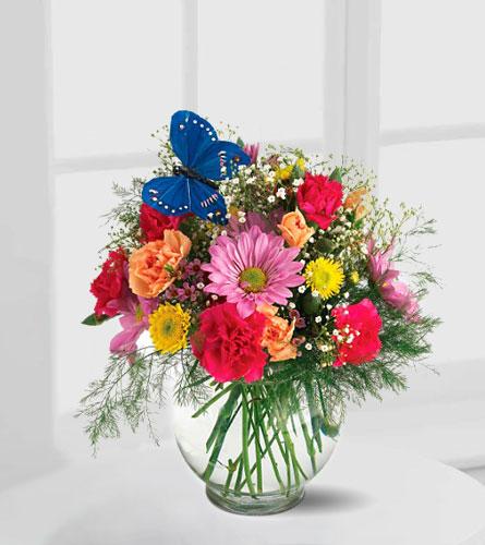 Teleflora's Backyard Butterfly Bouquet