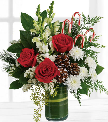 Teleflora's Festive Pines Bouquet