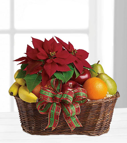 Pam's Garden - Poinsettias/Plants - Fruit & Poinsettia Basket T135-1A