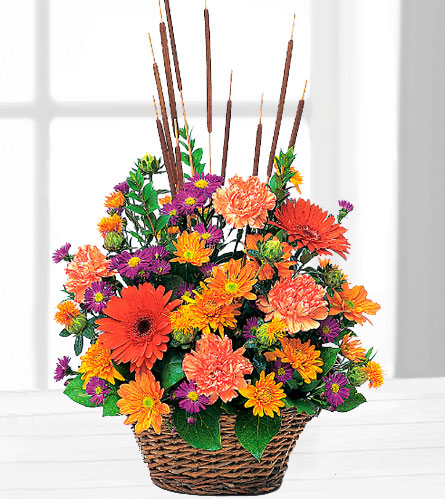 Pam's Garden - Autumn-fall Flowers - Teleflora's Fall Splendor Tf76-2